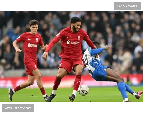 布莱顿计划延续合作，期望范黑克复制邓克辉煌成就